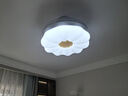 雷士（NVC） 风扇灯餐厅吊扇灯隐形扇叶电风扇灯现代简约卧室客厅餐厅吊灯 怡风智控48W/高显指/1级能效 实拍图