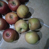 京鲜生 塞外红 阿克苏苹果礼盒 净重10斤 单果230g起 生鲜水果 实拍图