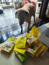 疯狂小狗宠物零食狗狗猫咪冻干训练磨牙猫狗通用 冻干棒棒糖 鸭梨无忧30g 实拍图