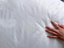 京东京造100%经典蚕丝被 冬季被子被芯蚕丝冬被-子母被2x2.3m约7.8斤 实拍图