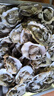 京采寻鲜【鲜活】乳山生蚝 特大牡蛎海蛎子 生鲜中秋国庆送礼海鲜水产贝 净重5斤（1两/个）【尝鲜款】 实拍图