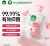 滴露（Dettol）洗手液滋润500g*6 抑菌洗手液家庭装大桶儿童消毒无酒精温和护手 实拍图