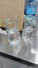 轻奢玻璃花瓶客厅插花高级感水培透明水养创意简约桌面装饰摆件 【透明两件套】17高轻奢冰岩 实拍图