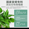 史丹利营养液花肥料家用盆栽植物通用型水培发财树富贵竹花卉绿植500ml 实拍图