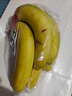 佳农 进口香蕉净重4斤（约10-12根）单根蕉 独立装 生鲜水果 新鲜包邮 实拍图