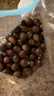 鲜合作（XIANHEZUO）【顺丰发货】2025年现摘福建特产建瓯高山锥栗圆尖油栗子新鲜板栗 实拍图