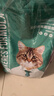 凯锐思猫粮成猫7岁以上天然老年期猫粮高龄全价猫粮1.5kg 实拍图