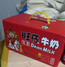 旺旺 旺仔牛奶 240ml*12罐  马年生肖版限定礼盒装  年货节送礼佳品 实拍图