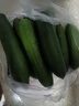 【超市品质】山东新鲜水果黄瓜嫩青瓜生吃蘸酱生鲜蔬菜减肥搭配 山东水果黄瓜 1.7斤 净重 实拍图