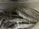 卖鱼七郎 加拿大冷冻大号全籽多春鱼2斤(约36-48条）99%满籽烧烤食材生鲜 实拍图