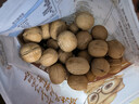 三只松鼠量贩袋装草本味纸皮核桃500g 每日坚果炒货休闲零食品 实拍图