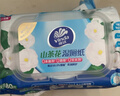 维达（Vinda）湿厕纸 80片*单包 山茶花精华 湿纸巾厕纸洁厕湿巾湿厕巾新旧随机 实拍图