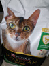 冠能猫粮7岁以上老年猫猫粮2.5kg 全价猫粮 延长健康生活时间 实拍图