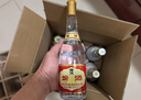 汾酒 黄盖玻汾 清香型高度白酒 53度 475mL*12瓶 整箱装 实拍图
