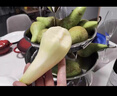 京鲜生  荷兰啤梨 微催熟净重3斤装  生鲜水果  源头直发 实拍图