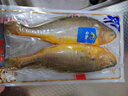 三都港 冷冻三去黄花鱼700g/2条装 大黄鱼 生鲜鱼类 深海鱼 海鲜 年货 实拍图