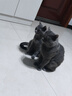 醇粹（Purich）FD猫粮全价冻干猫粮幼猫成猫纯粹猫粮英短美短布偶折耳鸡肉猫粮 鸡肉冻干猫粮5kg【老客推荐】 实拍图