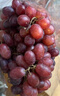 京鲜生 克伦生红提 葡萄 4斤礼盒装 生鲜水果 克瑞森 酸甜口感 生鲜礼盒 实拍图