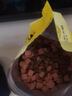 疯狂小狗老年犬狗粮小耳朵冻干夹心粮1.5kg牛骨高汤中老年通用粮3斤 实拍图