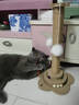 HELLOJOY猫抓柱剑麻猫抓板猫玩具耐抓耐磨不掉屑猫爬架立式自嗨解闷用品 实拍图