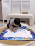 COOKSS儿童水画布神奇魔法涂鸦画画本踩垫宝宝小孩反复笔清本水画毯玩具 实拍图