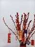 花行榜鲜枝年宵花卉干花 60cm大红银柳30枝+红波浪瓶+10个挂件源头直发 实拍图