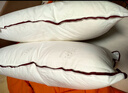 水星家纺枕头枕芯酒店枕头护颈枕头芯家用一对纯棉抗菌可水洗中枕48x74cm 实拍图