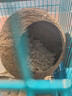 高能鹦鹉虎皮鹦鹉椰子壳鸟窝鹦鹉窝鸟巢窝鹦鹉繁殖箱珍珠椰壳鸟窝户外草窝 【未打磨】中号13~14螺丝款 实拍图