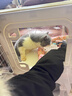 蔻丝猫笼子带厕所一体家用透明猫柜双层猫别墅猫屋养猫全套用品 实拍图