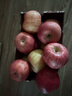 京鲜生 陕西洛川红富士苹果 净重5斤75-80mm单果170g+新鲜水果源头直发  实拍图