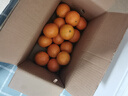 京鲜生 广西皇帝柑/贡柑 净重3斤 单果100g起 生鲜水果 实拍图