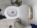 扬泗马桶盖通用坐便盖家用马桶圈盖加厚下装式马桶垫圈缓降盖板马桶圈 【U型】加厚款-下装-缓降 通用款 实拍图