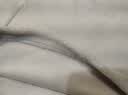 伯希和（Pelliot）抓绒衣男女摇粒绒秋冬户外运动冲锋内胆立领上衣外套12331012粉XL 实拍图