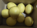 京鲜生 安岳黄柠檬 8粒 单果95g起 生鲜水果 实拍图
