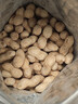 憨豆熊奶香花生500g袋装 带壳花生米休闲零食品坚果炒货特产小吃下酒菜 实拍图