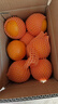 京鲜生 湖北秭归果冻橙九月红脐橙4.5斤单果150g 应季水果源头直发 包邮 实拍图