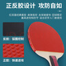 红双喜SH横直对拍01初学者训练比赛乒乓球拍横直套装+乒乓球 实拍图