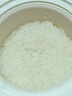 小即迷你电饭煲1.6L家用多功能电饭锅学生宿舍小型1-2人智能饭锅 米白【特厚款】饭勺+量杯 1.6L 实拍图