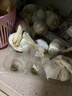 【百万单爆品】紫白皮蒜水果大蒜超市生鲜蔬菜调料即食蒜 【优选】 1斤 单果3.5-5cm 实拍图