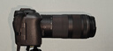 佳能（Canon）RF100-400mm F5.6-8 IS USM 全画幅微单镜头 远摄变焦镜头 轻量防抖 超远长焦 晒单送赠品 实拍图