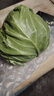 京鲜生山东新鲜绿甘蓝净重3斤单果200g+卷心菜甘蓝新鲜蔬菜 源头直发 实拍图