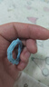 高弹力无接缝发圈不伤发新款海盐蓝多巴胺皮筋扎头发头绳高马尾 多巴胺混装【30条】五颜六色 实拍图