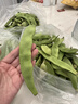 京鲜生山东新鲜油豆角3斤装新鲜蔬菜源头直发包邮 实拍图