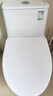 九牧（JOMOO）马桶 家用虹吸式马桶大冲力节水坐便器 防臭瞬冲 易洁抗菌马桶 行业爆款-双旋暴风冲11370-305坑 实拍图
