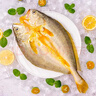 三都港 冷冻醇香黄鱼鲞900g/2条 三去黄花鱼 生鲜鱼类 深海鱼 海鲜 年货 实拍图