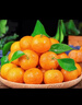 京鲜生 广西砂糖橘 净重8斤 单果35-45mm  新鲜水果 源头直发包邮 实拍图