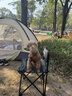 野徒者户外折叠椅露营椅子躺椅便携折叠月亮椅小凳子折叠凳钓鱼凳 曜石黑【高靠背款】 露营桌椅 实拍图