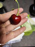 三萌果蔬 智利车厘子【JD顺丰-多地次日达】大樱桃进口水果礼盒年货送礼 3斤(净重) 【超划算-80%人选】爽吃礼盒 【黑钻级丨独享爽吃】 3J 巨无霸 30-32mm 实拍图