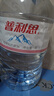 普利思饮用大桶水天然含矿物泉水  9L/桶装饮用水婴幼儿水大桶泡茶煲汤 9L 1桶 实拍图