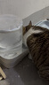 疯狂的主人猫咪狗狗饮水机猫粮全自动喂食器猫碗狗碗用品猫投喂宠物喝水神器 实拍图